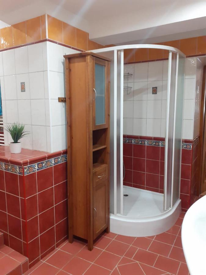 U Potoka Apartment *